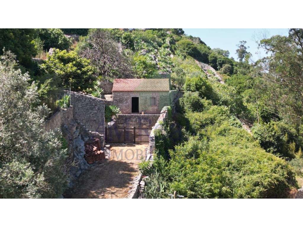 TERRENO RÚSTICO COM CASA AGRÍCOLA EM PEDRA|REGUENGO GRANDE|LOURINHÃ - Grande imagem: 2/30