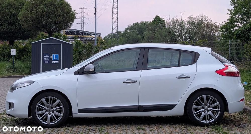 Renault Megane - 19