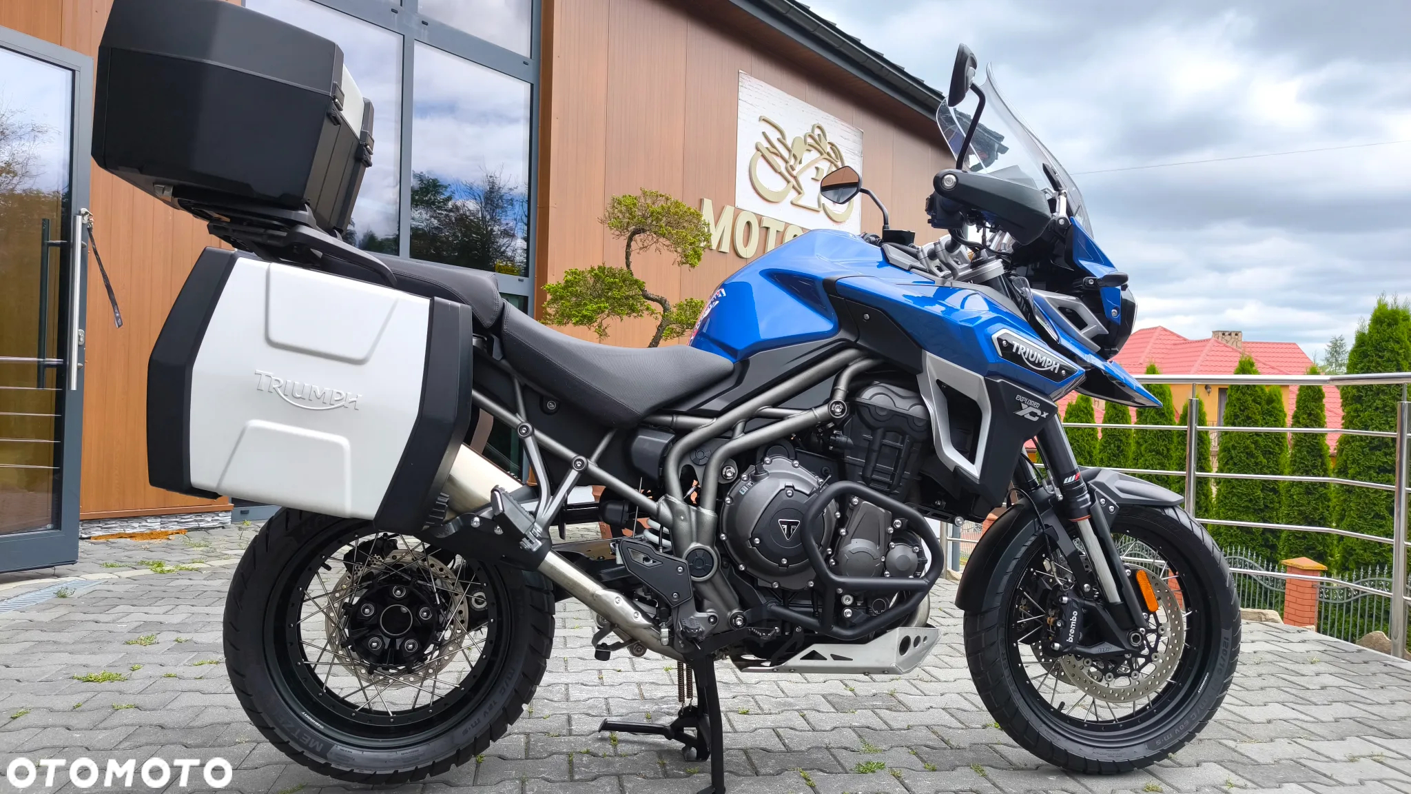 Triumph Tiger - 6