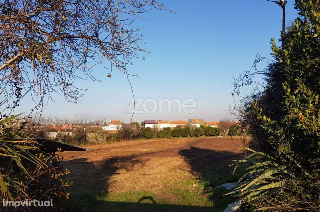 Terreno para Investimento em Lavra, Matosinhos - Grande imagem: 5/20