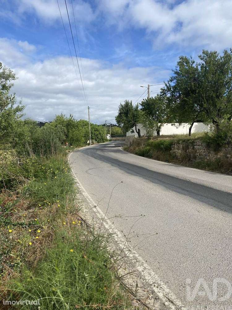 Terreno Agrícola em Loulé (São Sebastião) - Grande imagem: 2/16