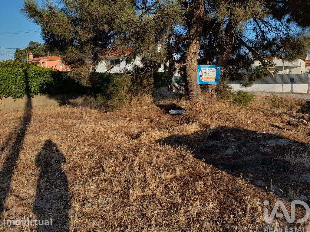 Terreno em Azeitão - Grande imagem: 2/9