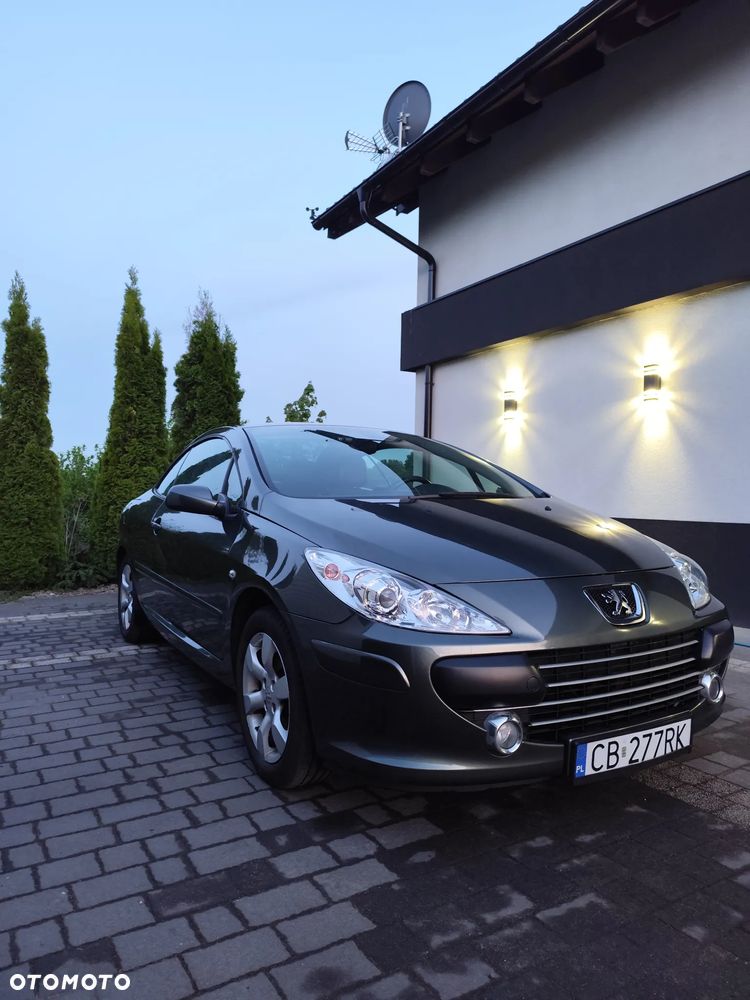 Peugeot 307 110 Tendance - 2