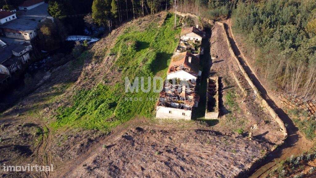 Quinta com 2 hectares para recuperar junto ao Rio Caima - Grande imagem: 2/12