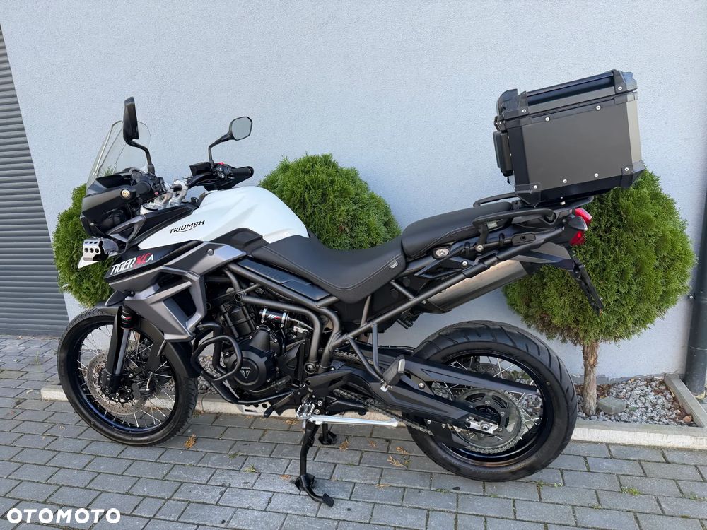 Triumph Tiger - 39