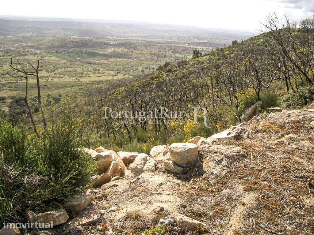 Propriedade de 9ha inserida no P. N. Serra de S. Mamede - Grande imagem: 2/8