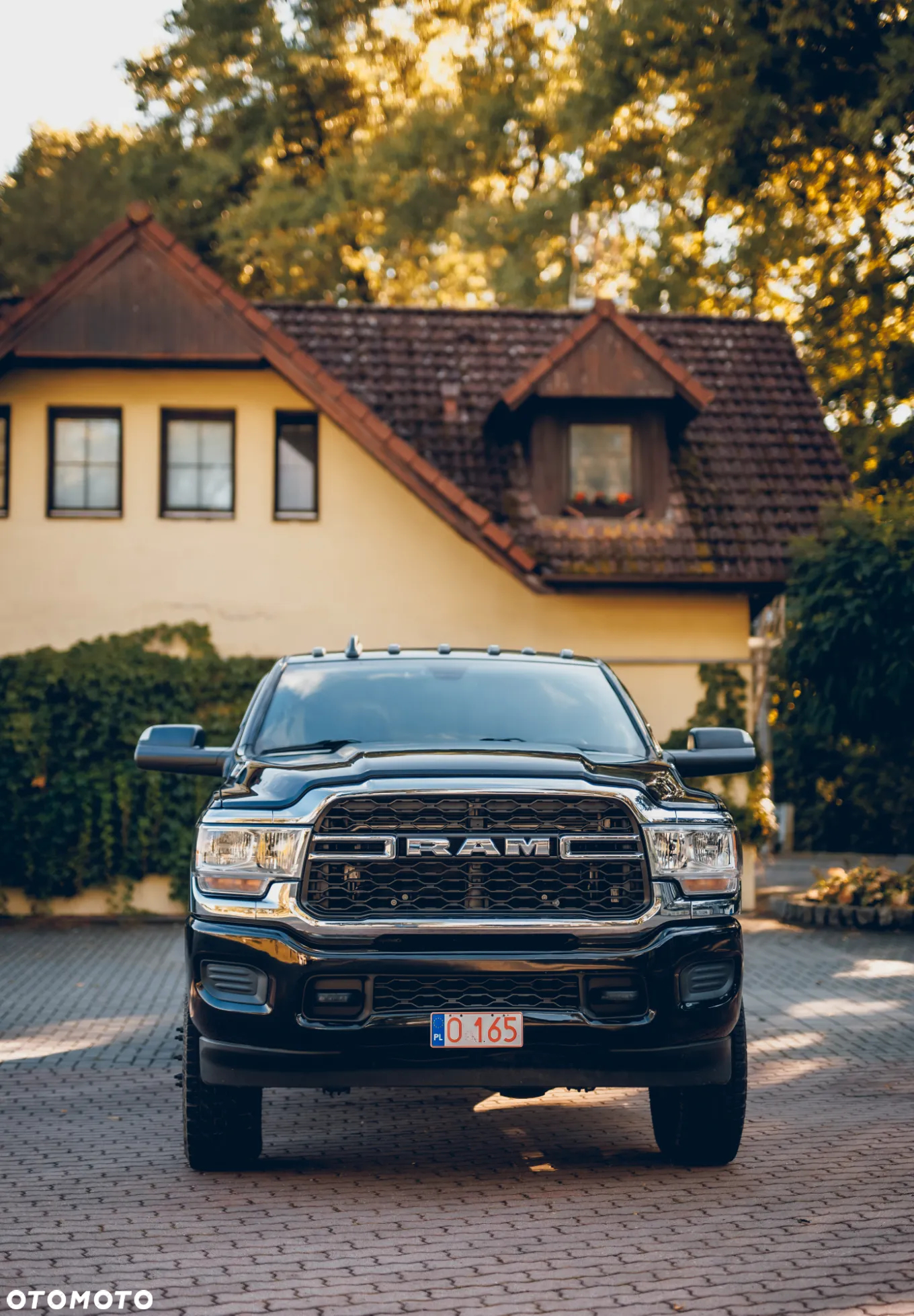 RAM 3500 - 20