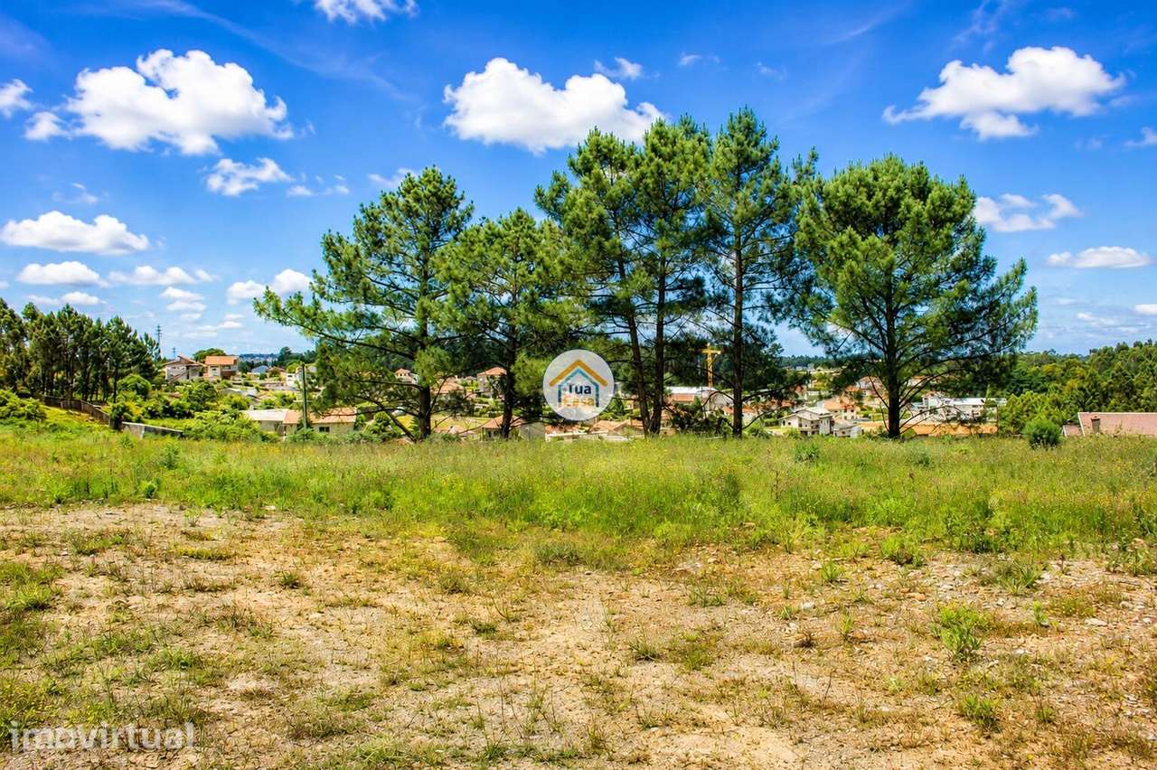 Terreno com cerca de 6.000 m2 à face da EN222, em Olival – Vila Nova d - Grande imagem: 5/10