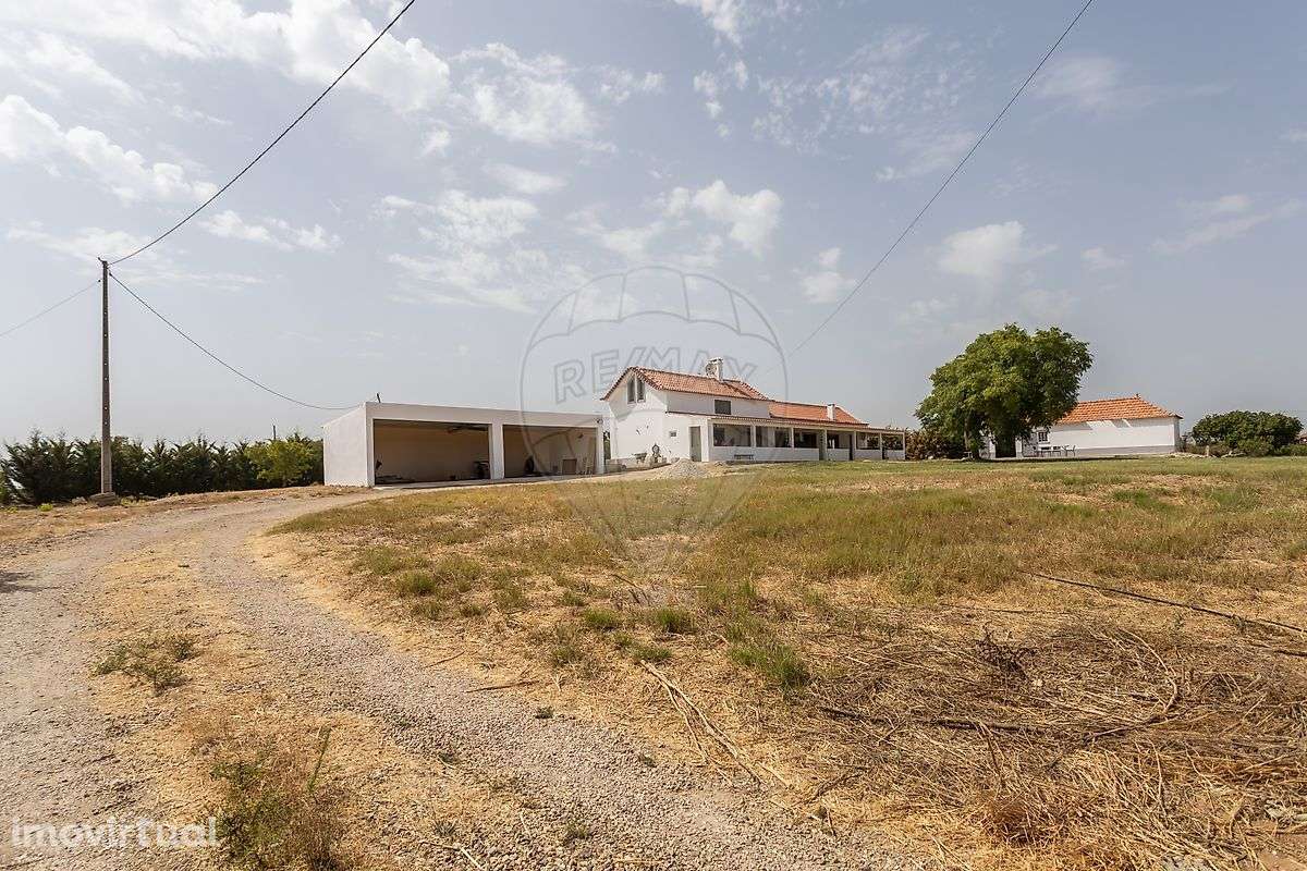 Moradia T4 para venda - Grande imagem: 5/50