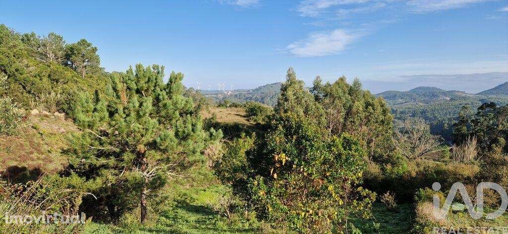 Terreno em Mafra de 5857,00 m2 - Grande imagem: 3/26
