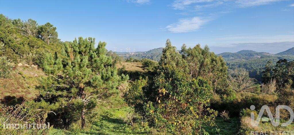 Terreno em Mafra de 5857,00 m2 - Grande imagem: 3/26