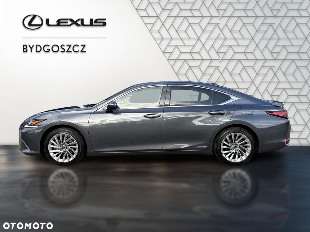 Lexus ES 300h Omotenashi - 7