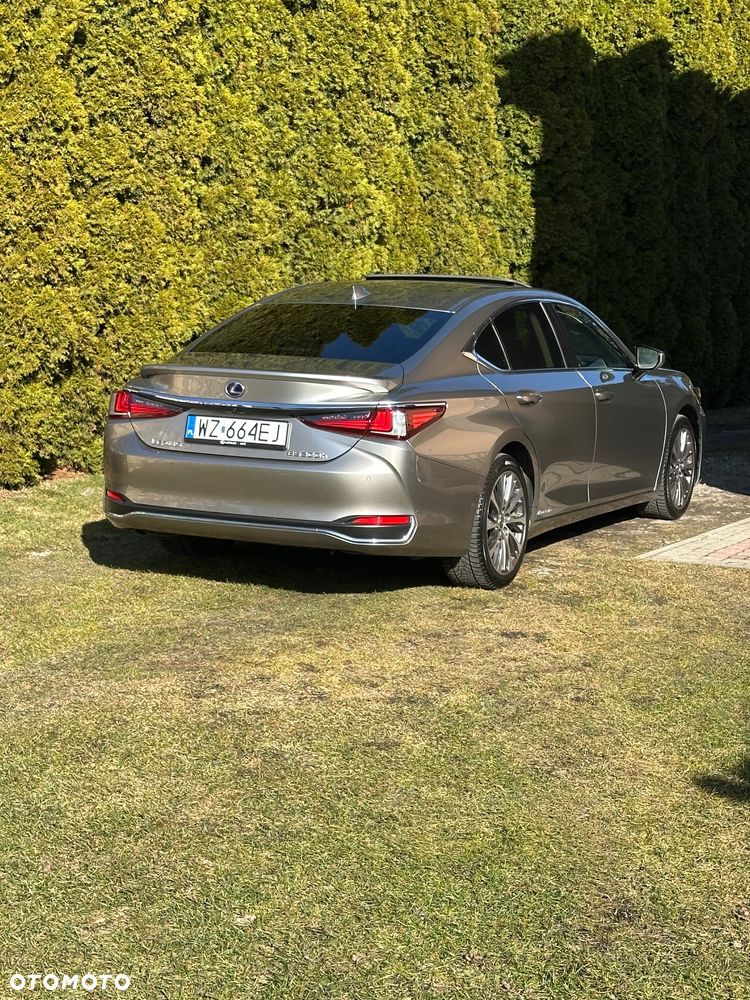 Lexus ES 300h Business Edition + - 39