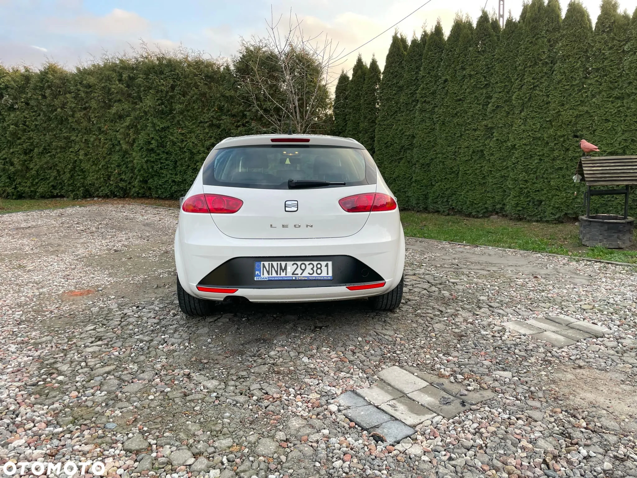Seat Leon 1.6 TDI DPF Sport - 3