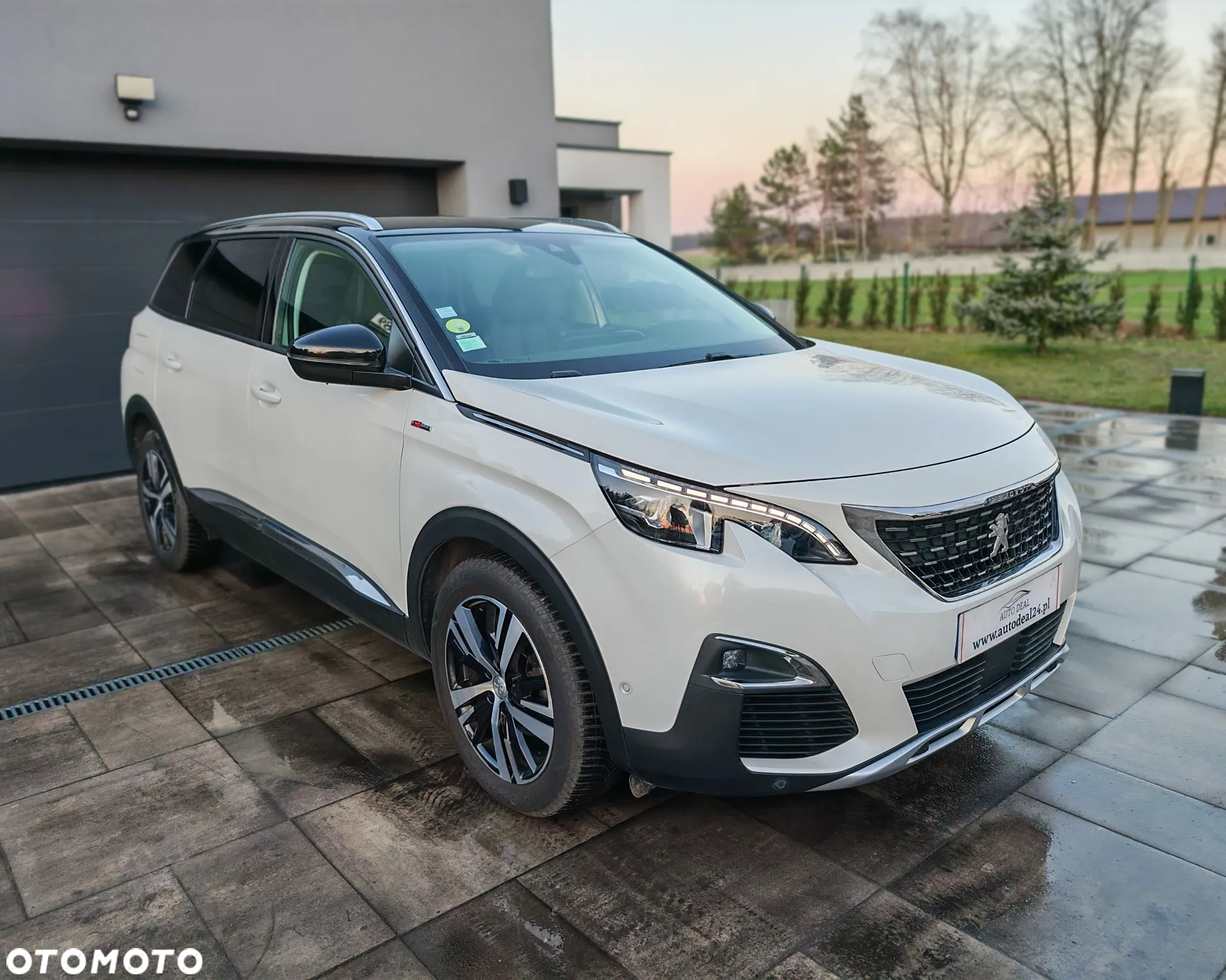Peugeot 3008 1.5 BlueHDi GT S&S EAT8 - 17