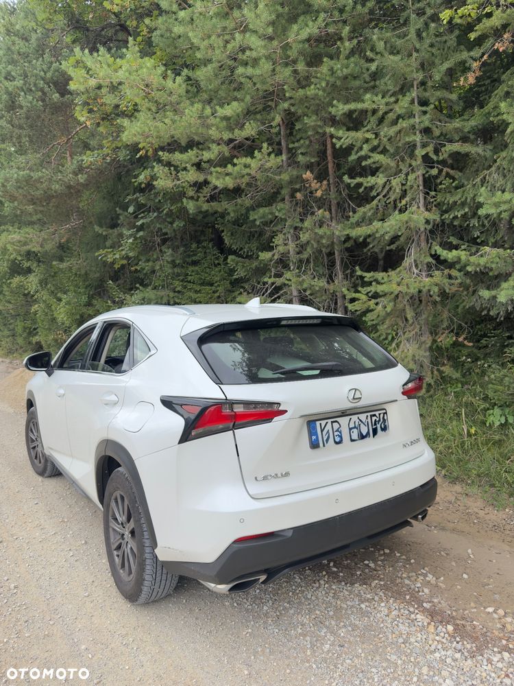 Lexus NX - 2