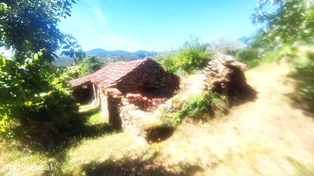 Casa/ Ruína em S. Miguel do Mato - Grande imagem: 4/26
