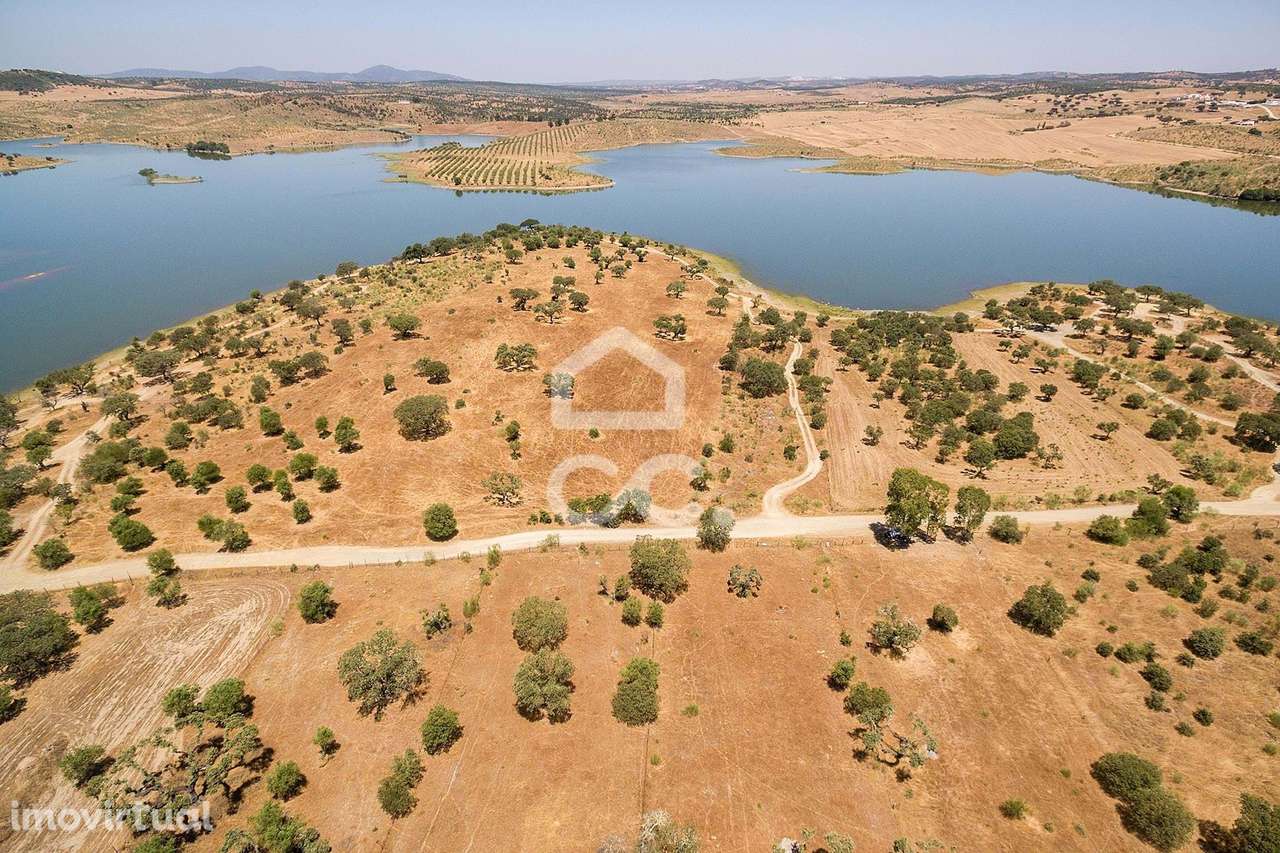 Terreno de 8000m2 junto à Barragem de Lucefécit | Terena (Alandroal) - Grande imagem: 2/13