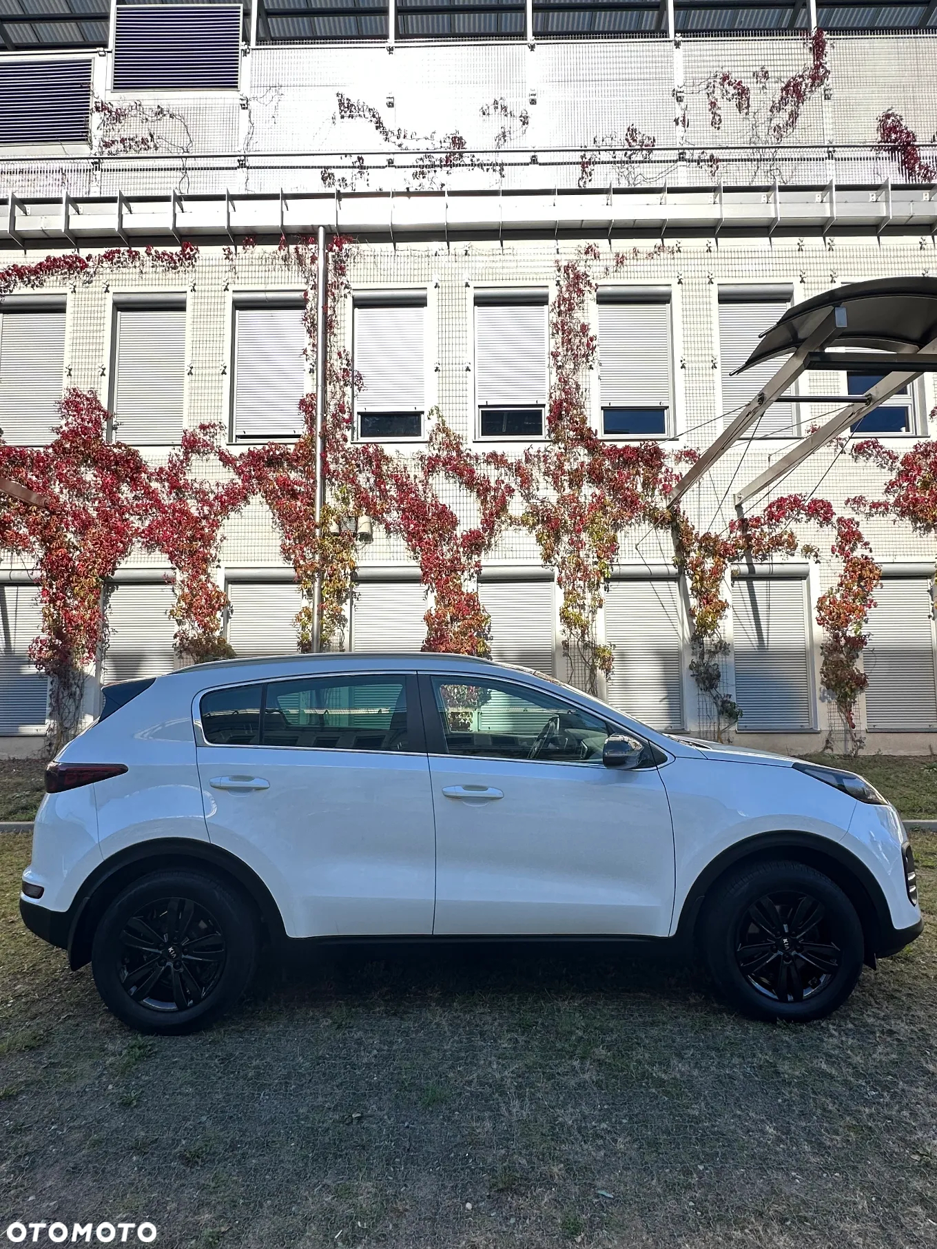 Kia Sportage 1.6 GDI Business Line 2WD - 6