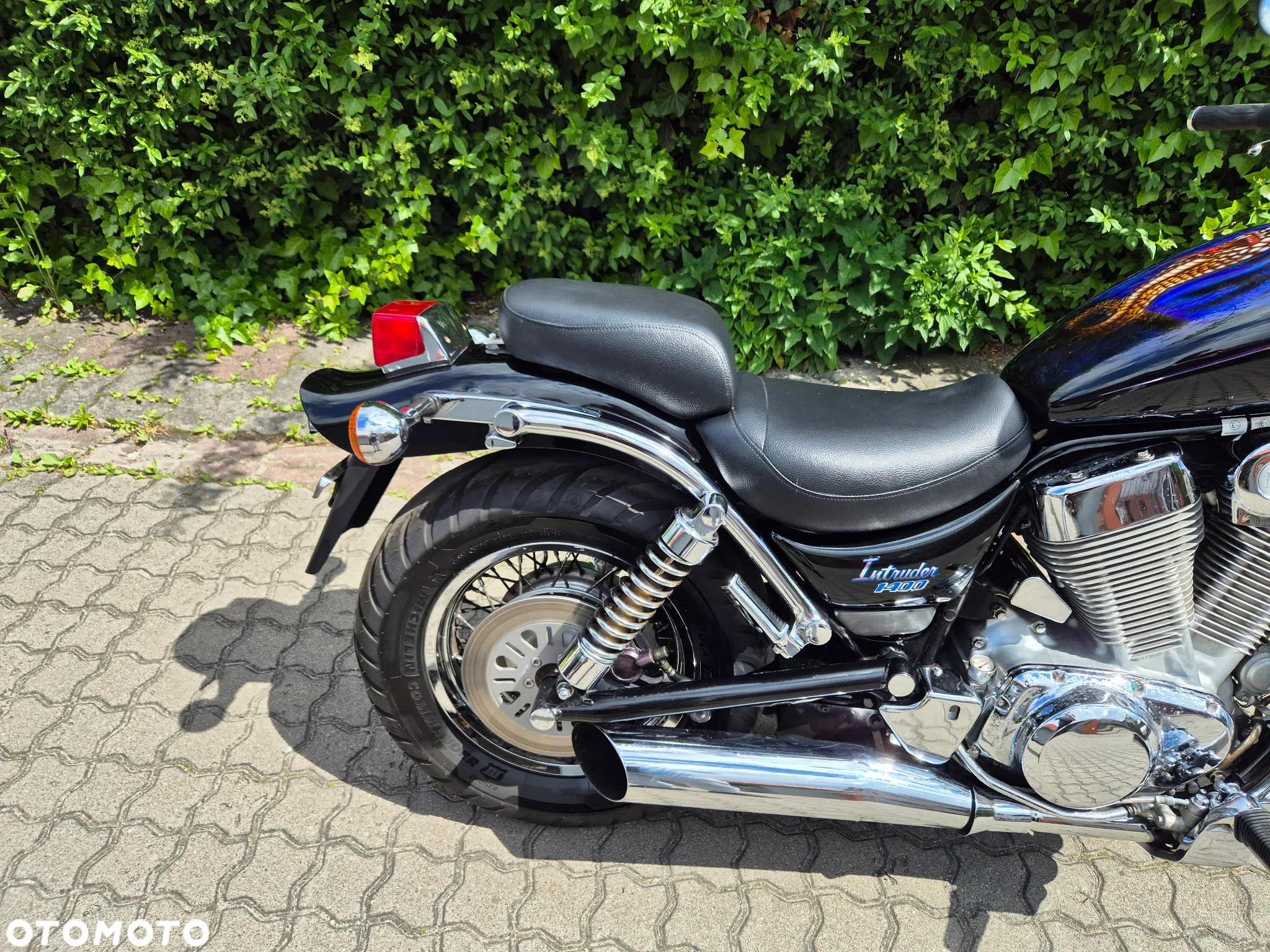 Suzuki Intruder - 8