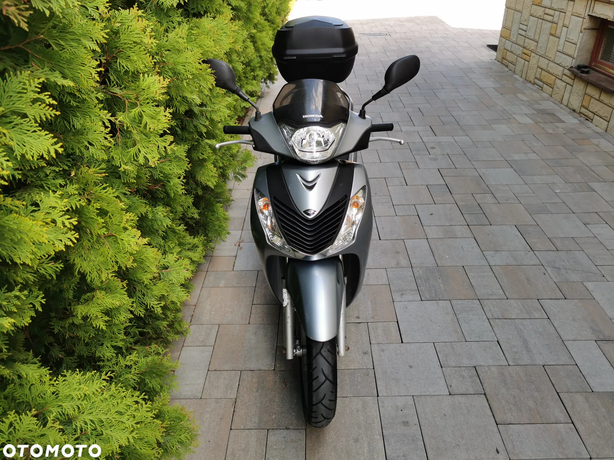 Honda SH - 7