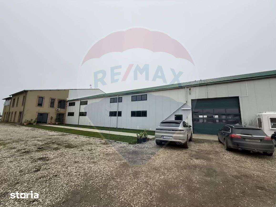 Ferma agro-industrială – 43 ha Adunații Copaceni - Imagine principală: 2/20