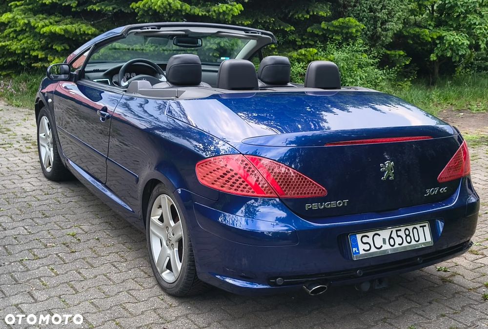 Peugeot 307 CC 2.0 - 22