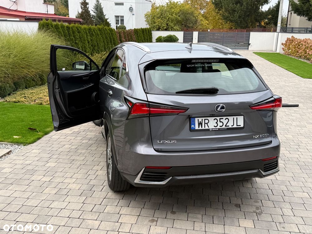 Lexus NX - 20