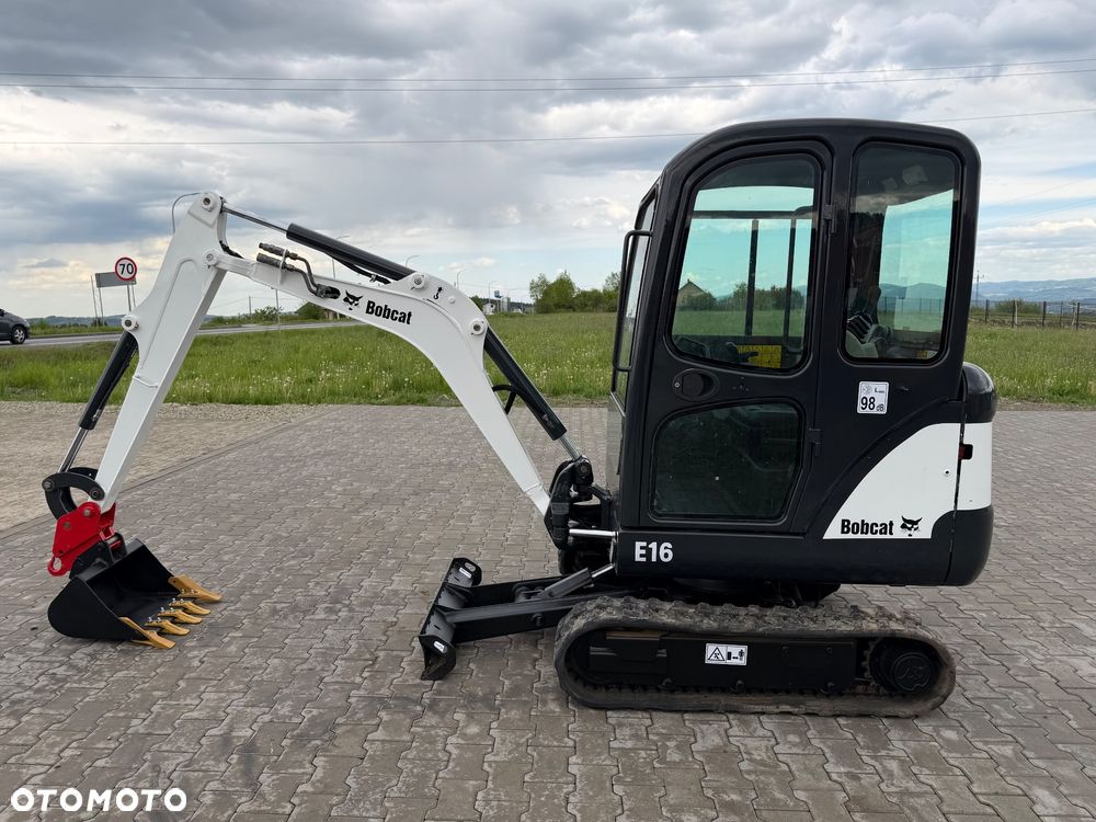 Bobcat - 9