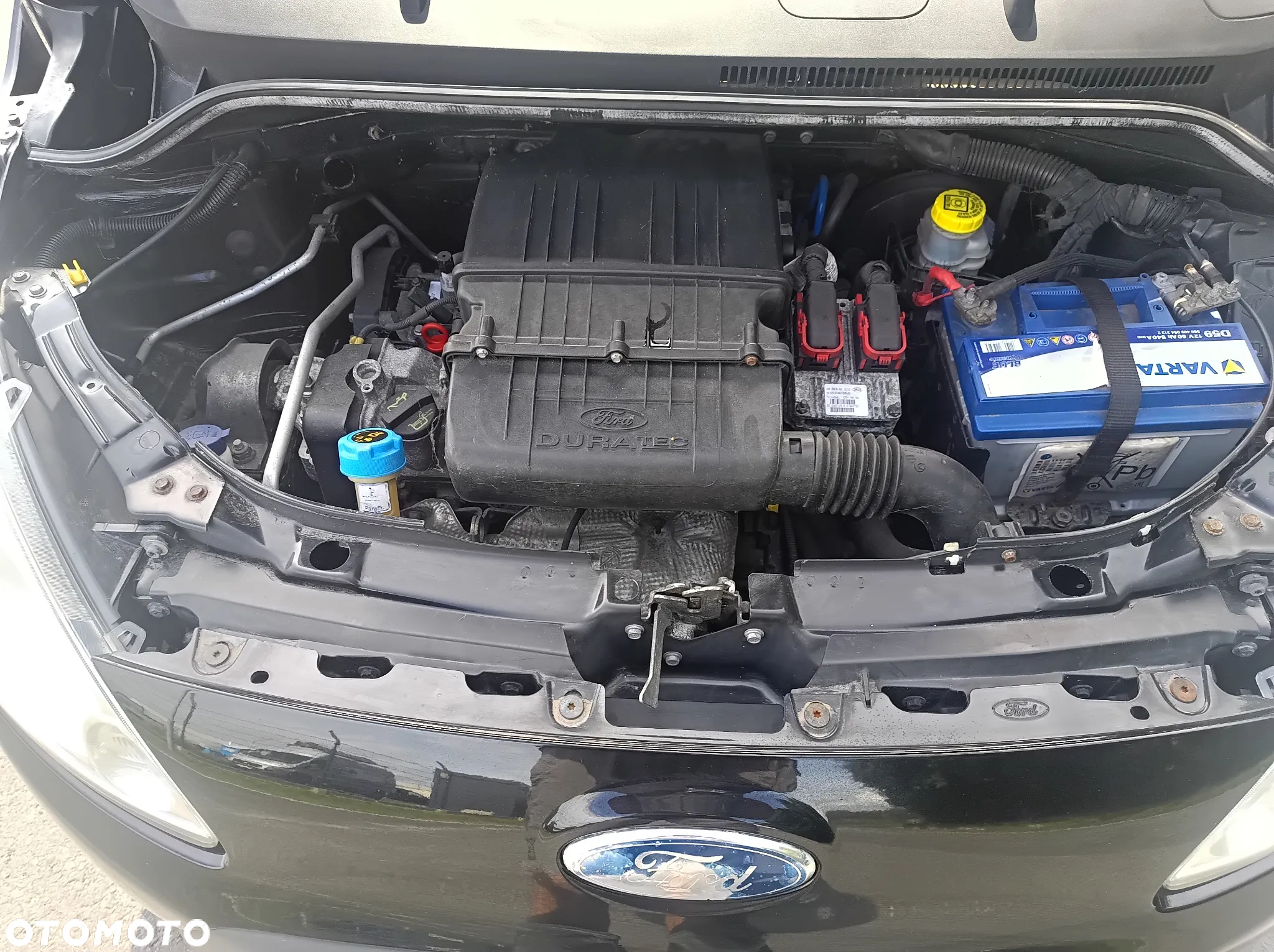 Ford KA - 10