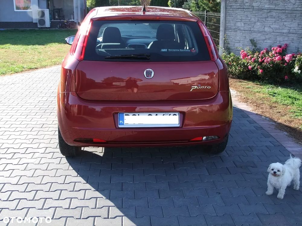 Fiat Punto 1.2 8V - 6