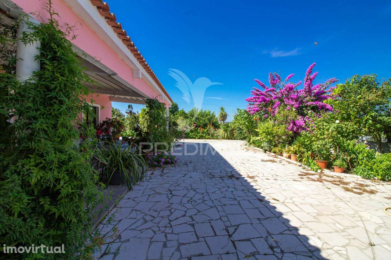 Herdade vinícola na zona do Poceirão - Grande imagem: 4/23