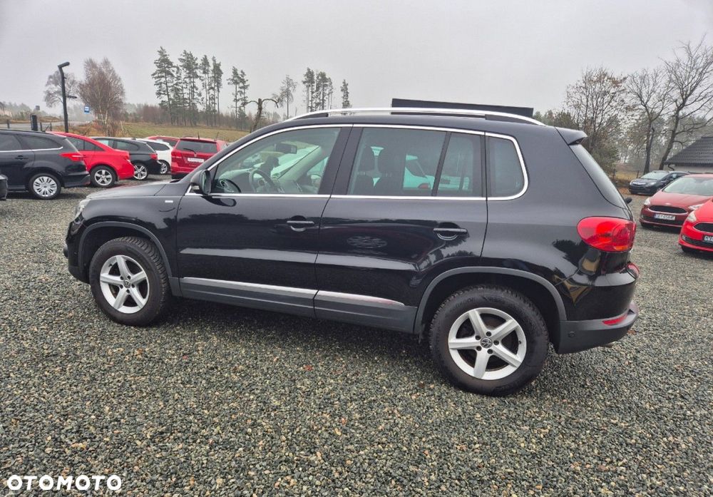 Volkswagen Tiguan - 31