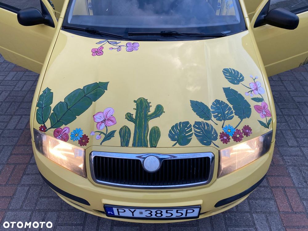Skoda Fabia - 30