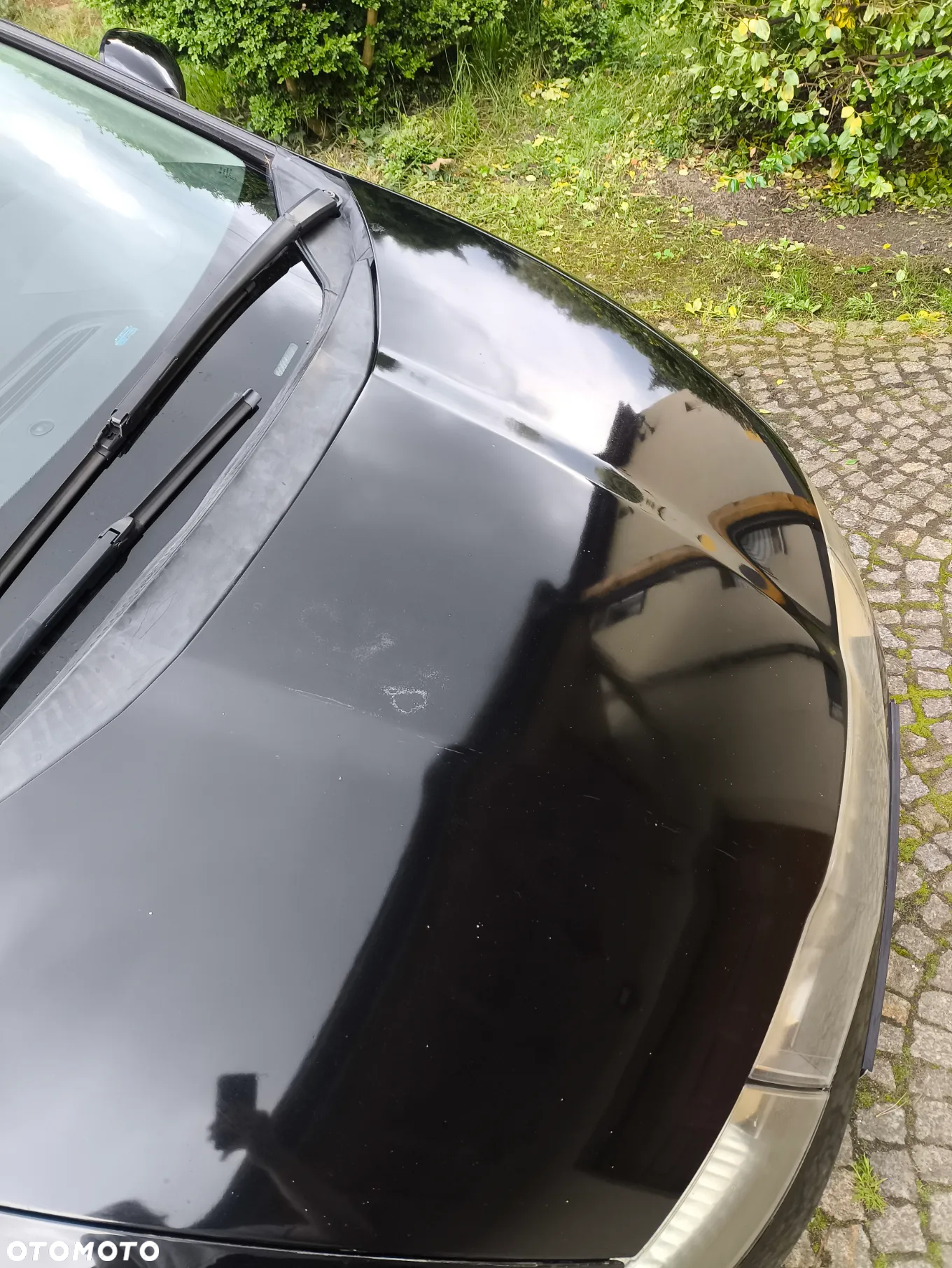 Honda Civic - 3
