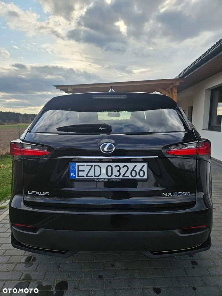 Lexus NX - 14