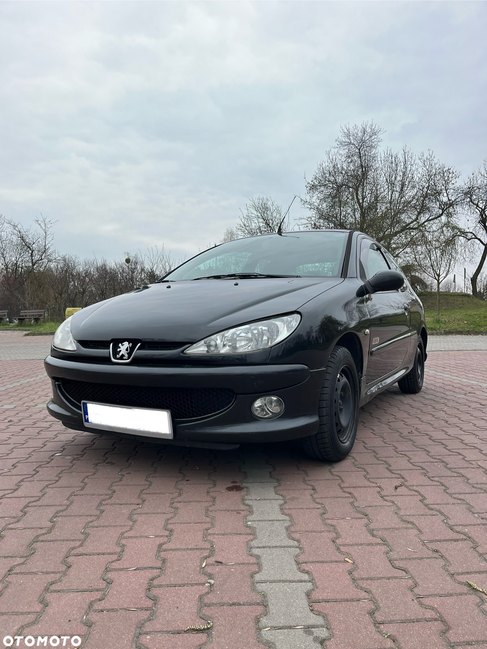 Peugeot 206 1.1 Husky - 3