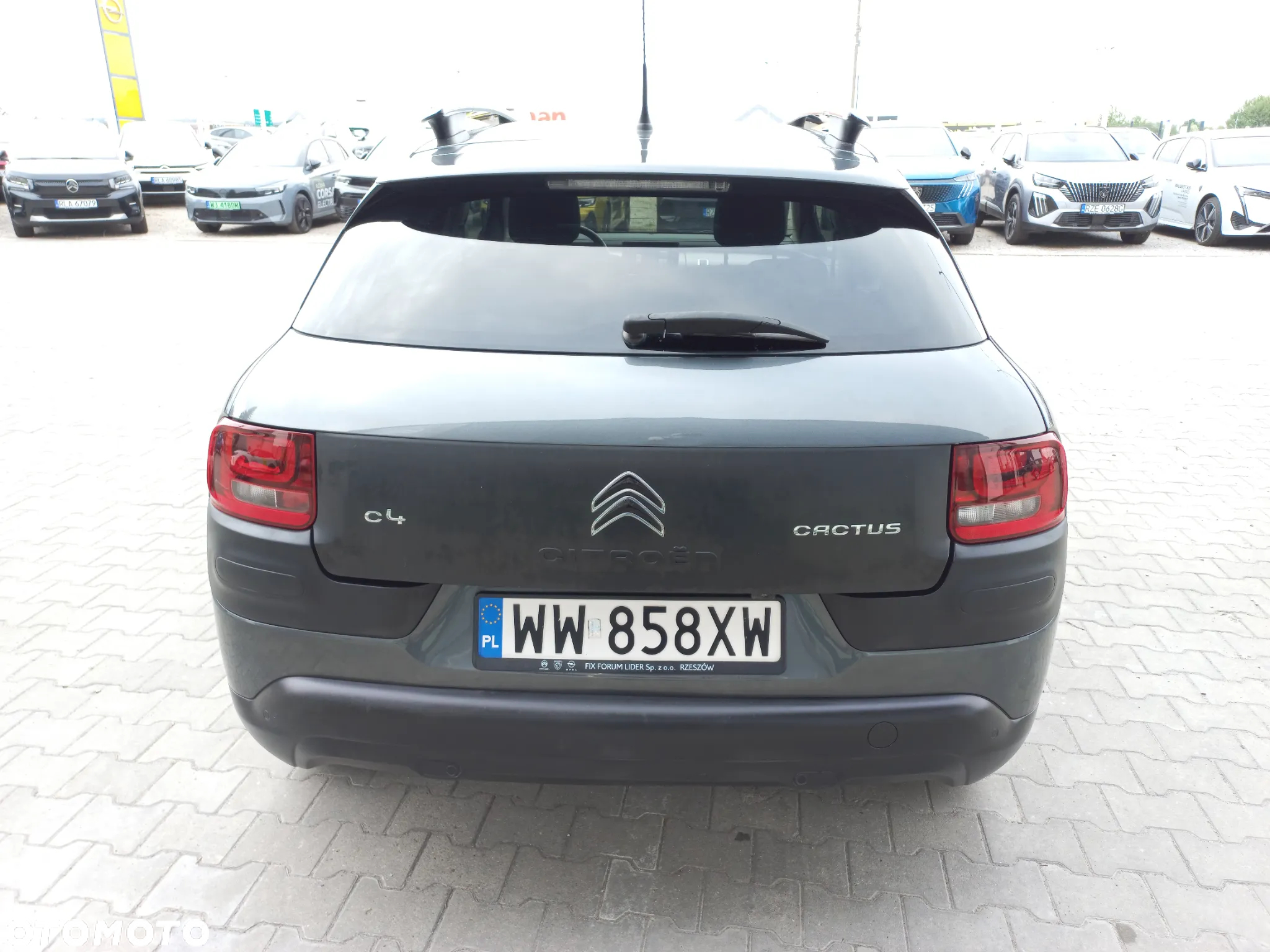 Citroën C4 Cactus 1.2 PureTech Feel S&S - 6