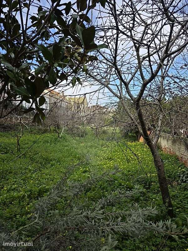 Terreno  para venda - Grande imagem: 4/11