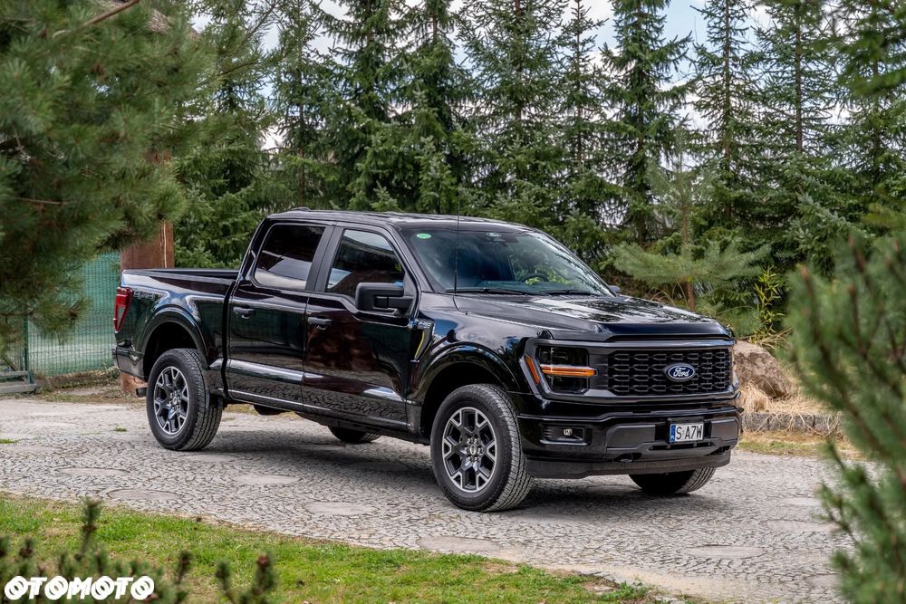 Ford F150 - 1