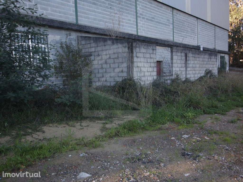 Armazém em Sever do Vouga - Grande imagem: 3/16