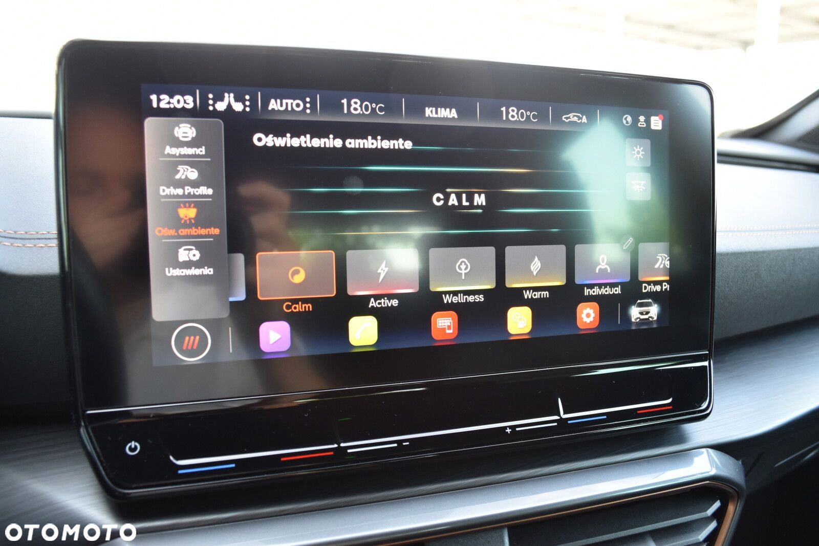 Cupra Formentor 1.5 TSI DSG - 28
