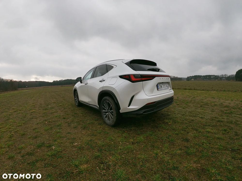 Lexus NX 350h Prestige 2WD - 4