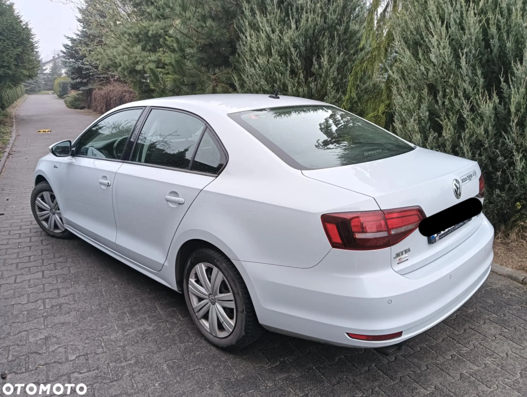 Volkswagen Jetta - 2
