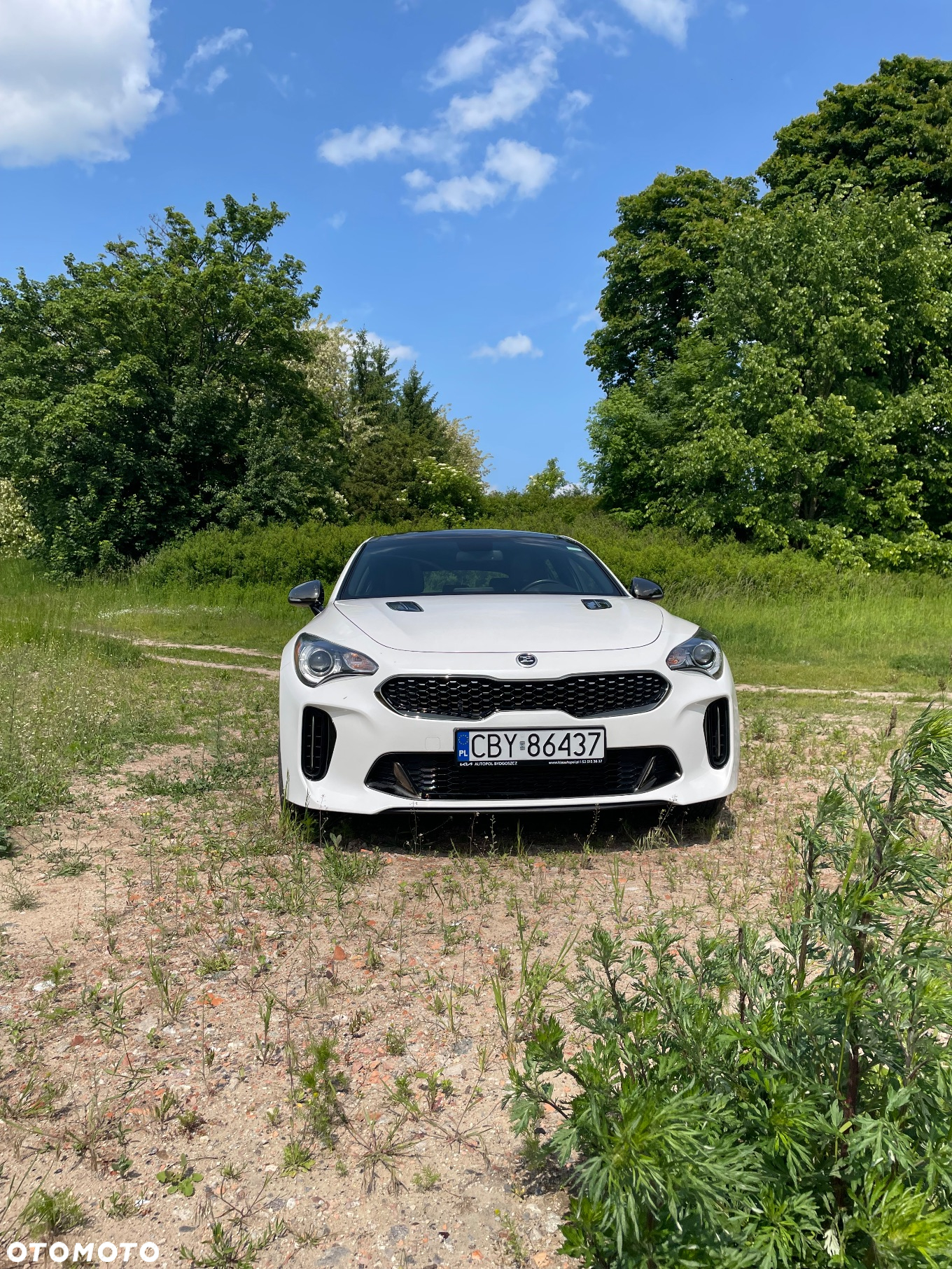 Kia Stinger 2.0 T-GDI GT Line - 2