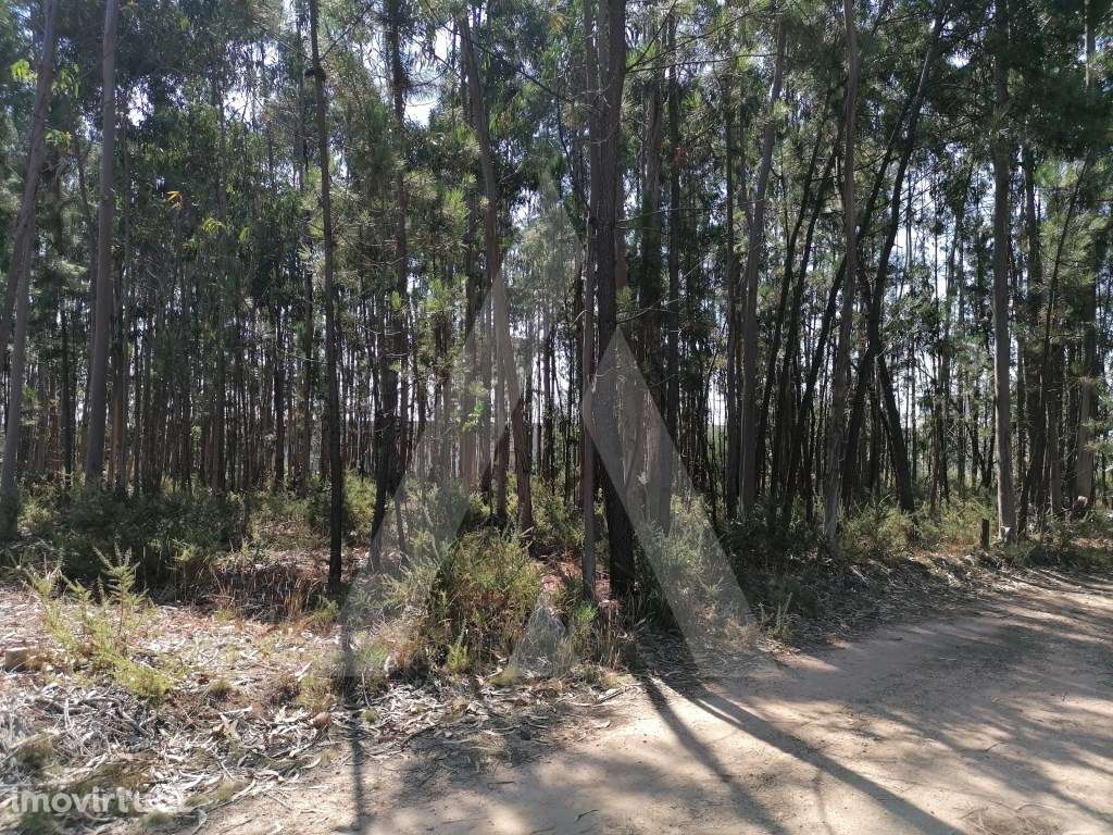 Terreno destinado a construção em Águeda - Grande imagem: 2/10