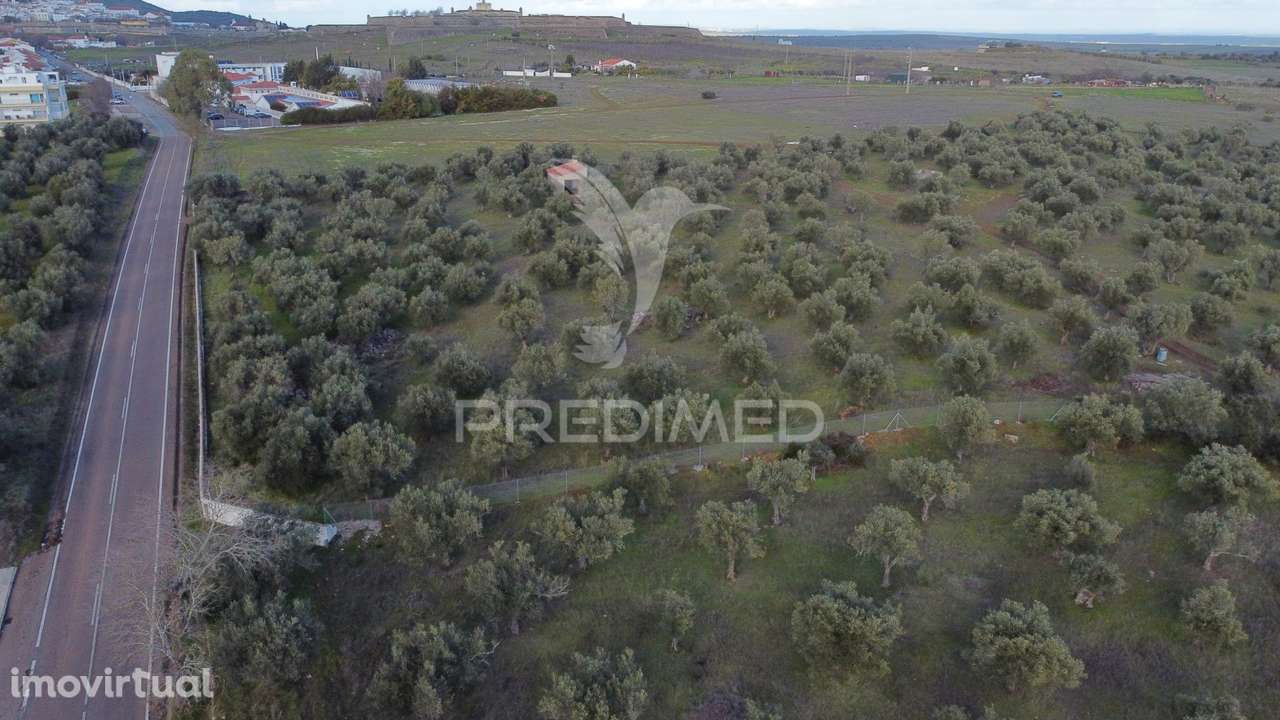 Terreno Urbanização Carvalha Elvas - Grande imagem: 4/9