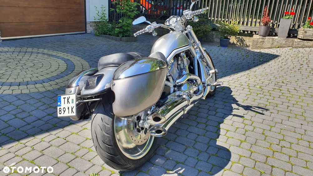 Harley-Davidson V-Rod Street Rod - 4