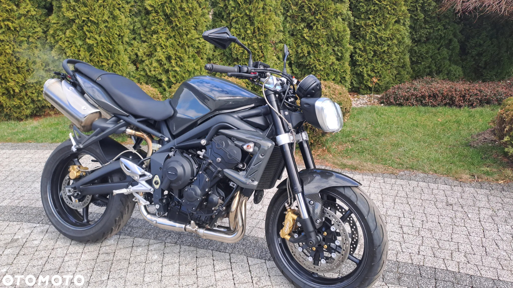 Triumph Speed Triple - 2