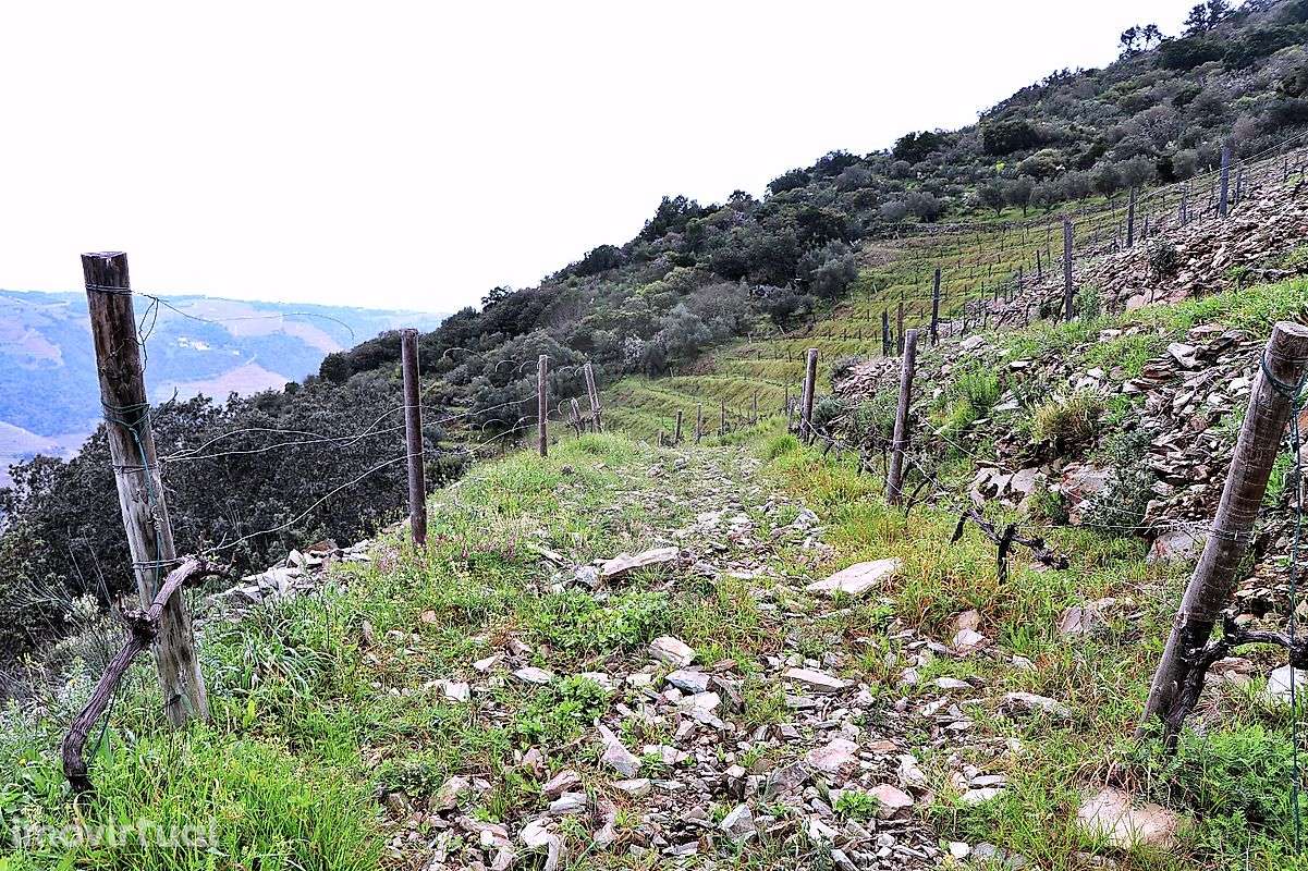 Terreno  para venda - Grande imagem: 3/11